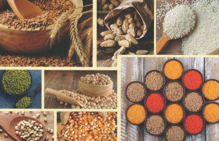 Food grains